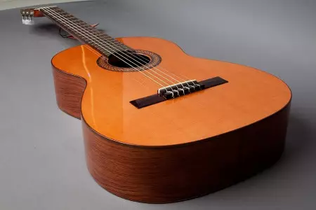 قیمت گیتار ریموندو 104b